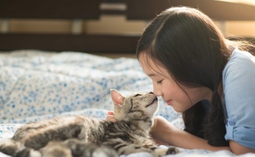 고양이 코 뽀뽀에 담긴 의미