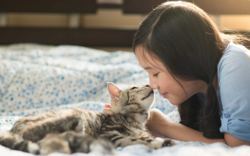 고양이코 뽀뽀에 담긴 의미는?