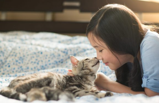 고양이코 뽀뽀에 담긴 의미는?